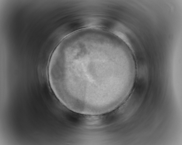 X0000089691338200707201712