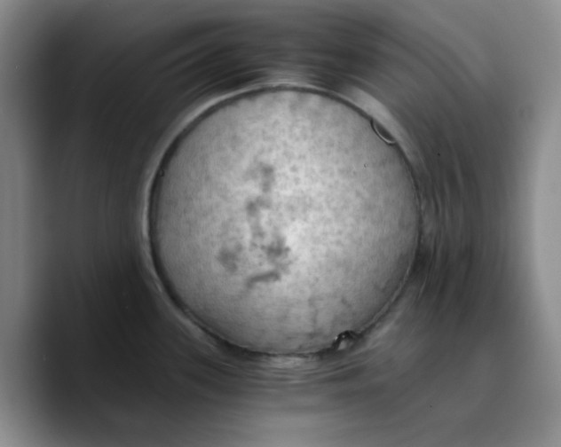 X0000089691339200707201712