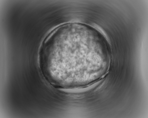 X0000089691340200707201712