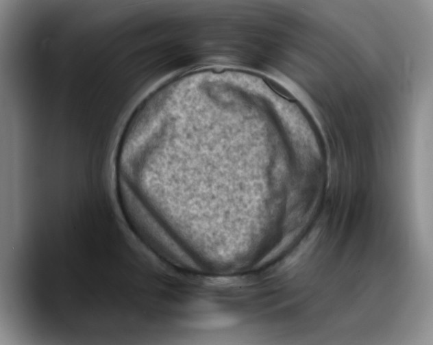 X0000089691341200707201712