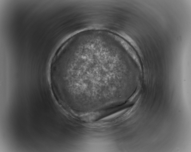 X0000089691342200707201712