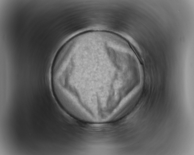 X0000089691343200707201712