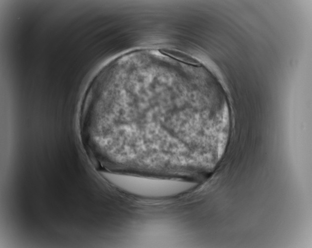 X0000089691344200707201712