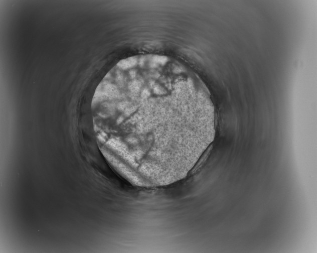 X0000089691345200707201712