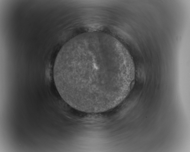 X0000089691346200707201712