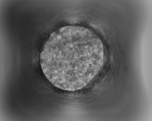 X0000089691349200707201712