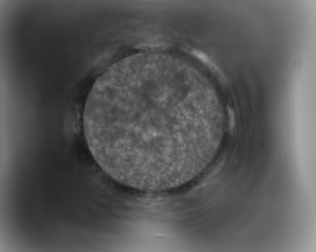 X0000089691350200707201712