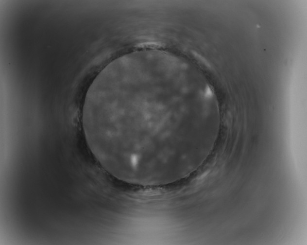 X0000089691351200707201712