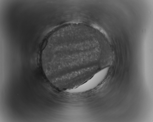 X0000089691352200707201712