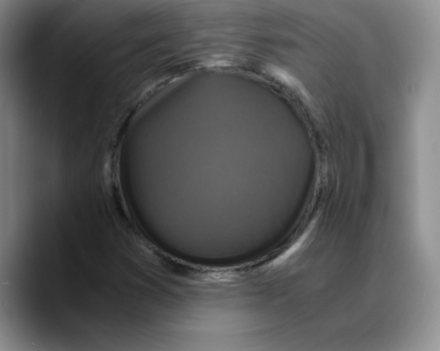 X0000089691353200707201712