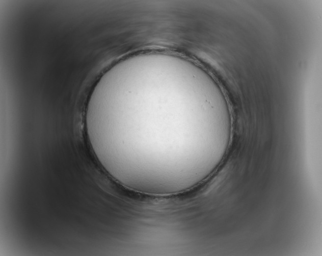 X0000089691355200707201712