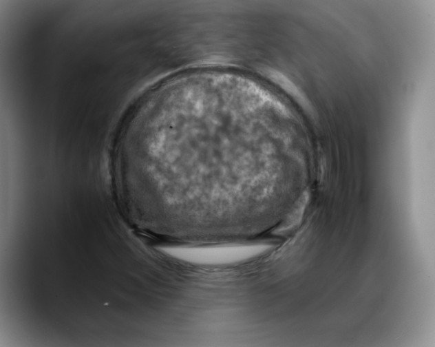 X0000089691356200707201712