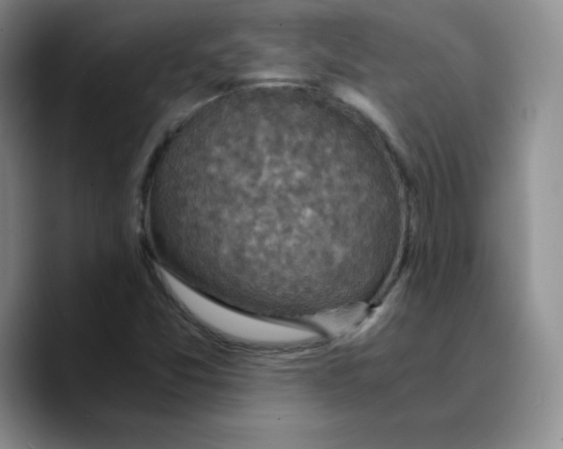 X0000089691357200707201712