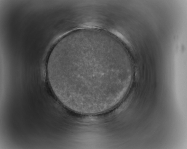 X0000089691358200707201712