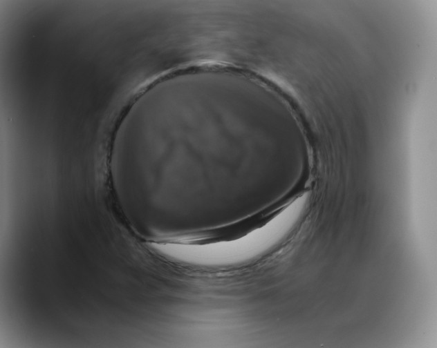 X0000089691359200707201712