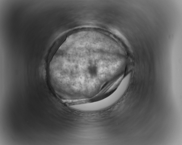 X0000089691360200707201712