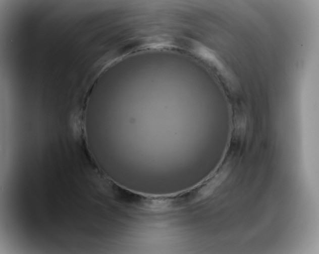 X0000089691361200707201711