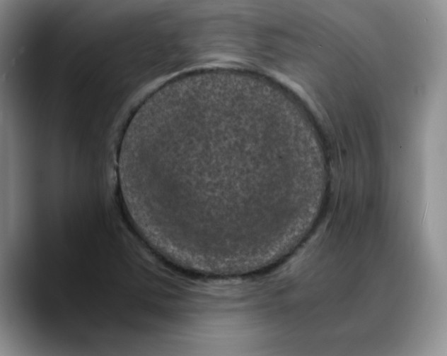 X0000089691363200707201711