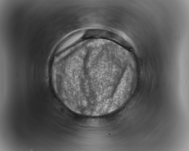 X0000089691364200707201711