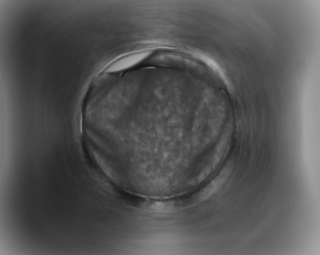 X0000089691365200707201711