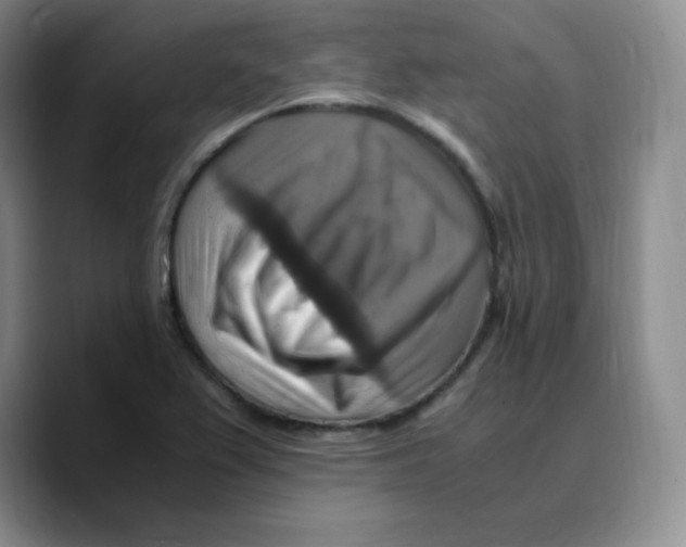 X0000089691367200707201711