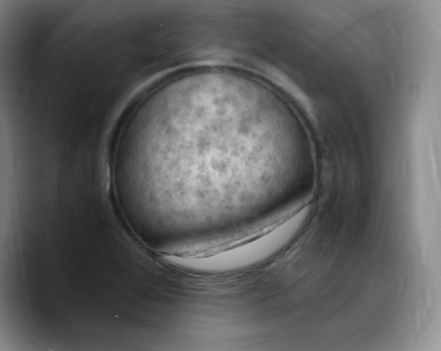 X0000089691368200707201711