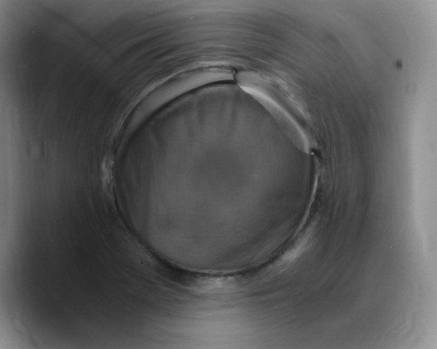 X0000089691369200707201711