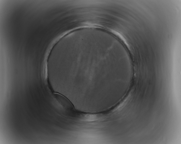 X0000089691371200707201711