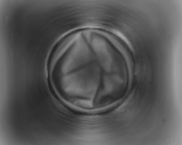 X0000089691372200707201711