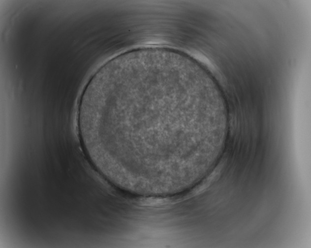 X0000089691374200707201711