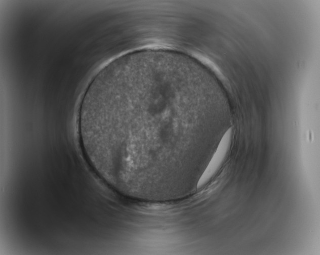 X0000089691375200707201711