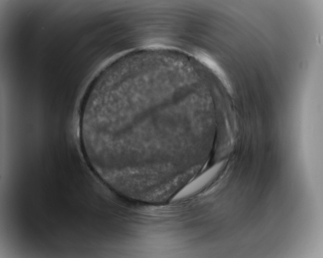 X0000089691376200707201711