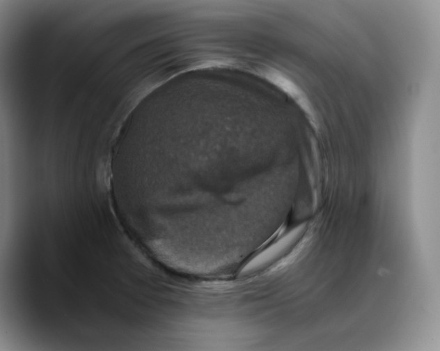 X0000089691377200707201711