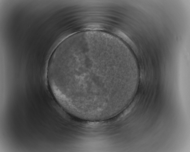 X0000089691378200707201711