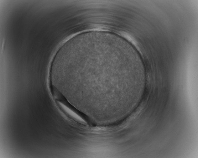 X0000089691379200707201711