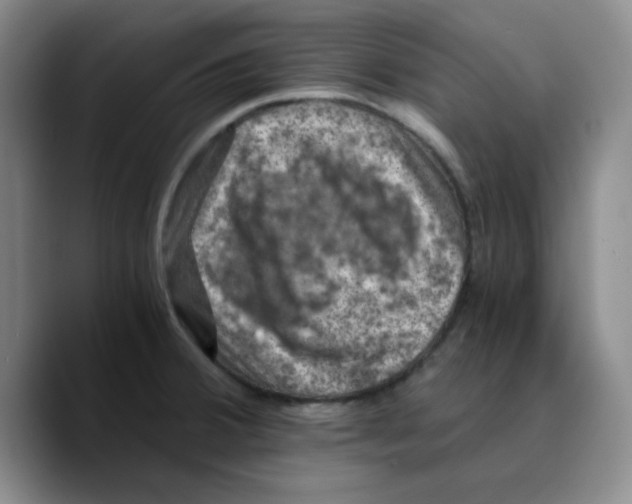 X0000089691380200707201711