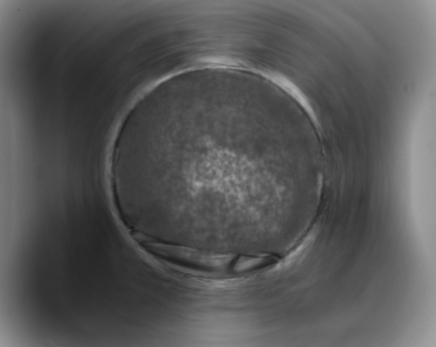 X0000089691381200707201711