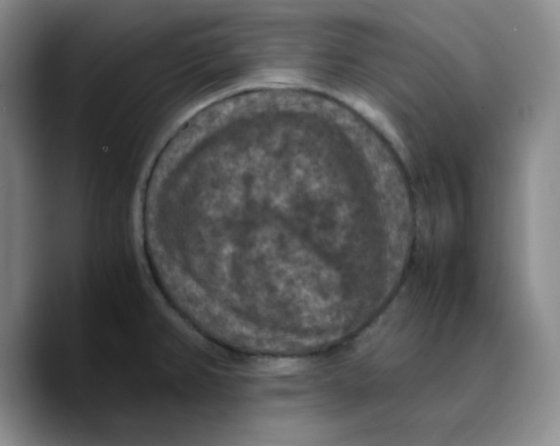 X0000089691382200707201711