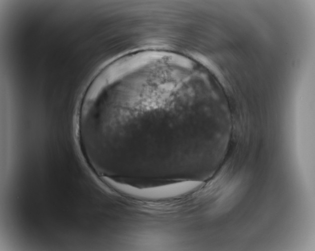 X0000089691383200707201711