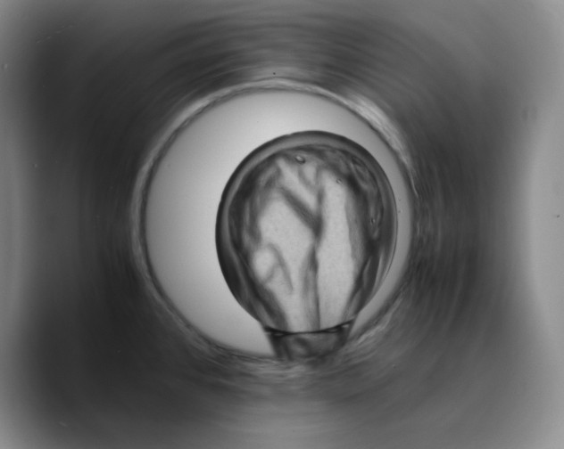 X0000089691384200707201711