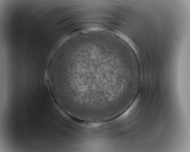 X0000089691385200707201711