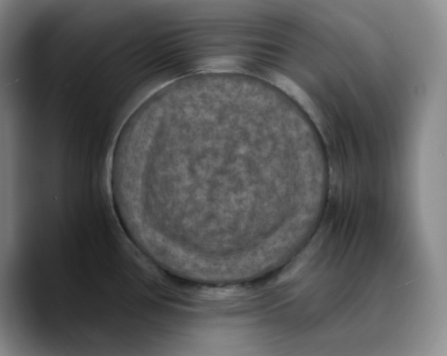 X0000089691386200707201711