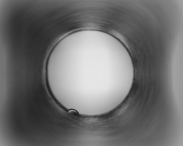 X0000089691387200707201711