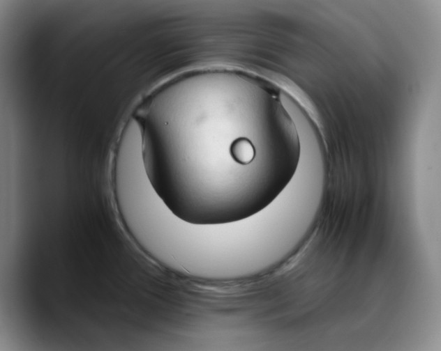 X0000089691388200707201711