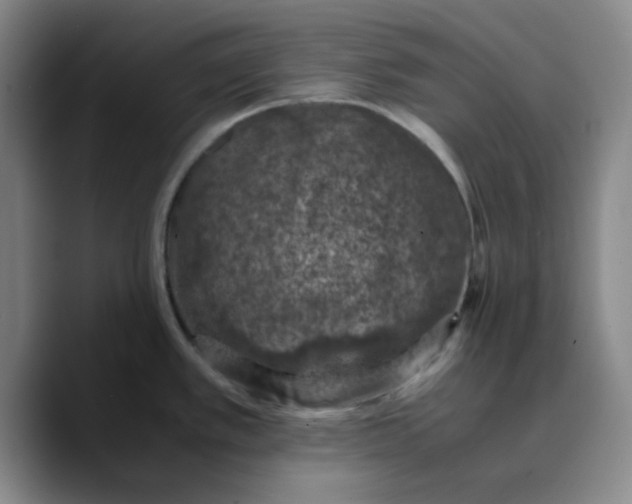 X0000089691389200707201711