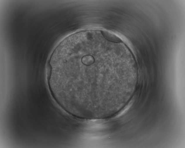 X0000089691390200707201711