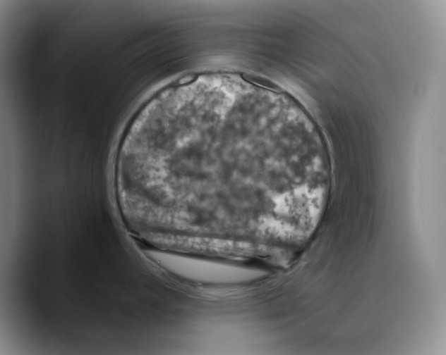 X0000089691392200707201711