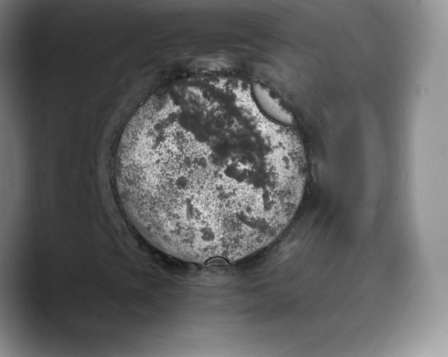 X0000089691393200707201710