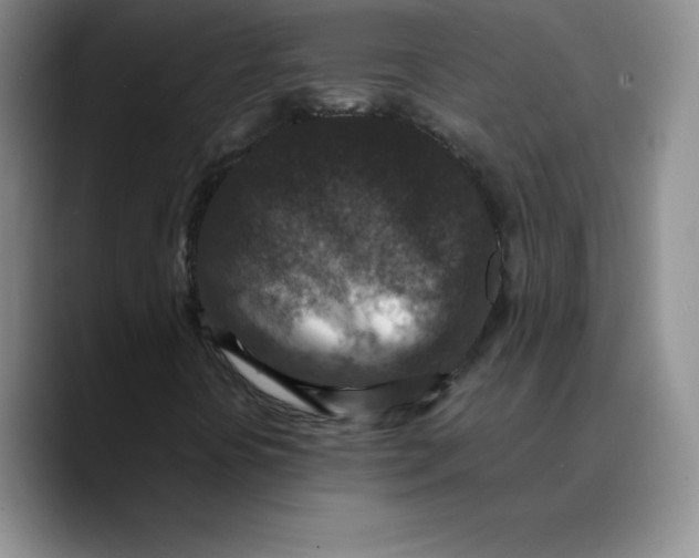 X0000089691394200707201710