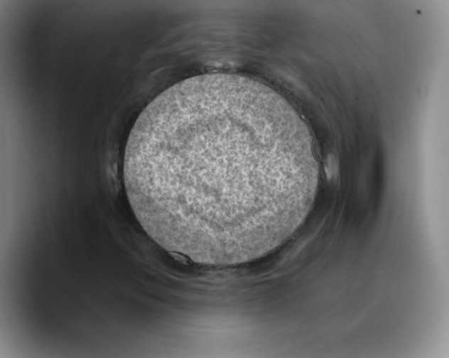 X0000089691396200707201710